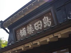 【東京都】府中市郷土の森美術館・旧安田楠雄邸