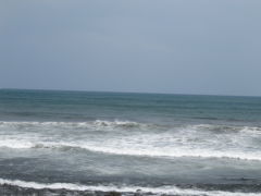 2010GW　旅のはじまりは、いつもウキウキ（海老名SA～伊豆の海を眺めて）