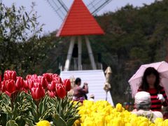 ひとり旅 ［720］ 感動の花風景！チューリップ祭\（ｏ⌒∇⌒ｏ）／　ワーイ♪♪＜春満開！世羅高原農場＞広島県世羅町