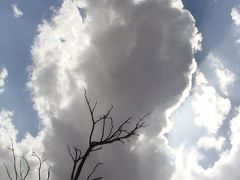 たまには船旅⑤　★ケニア（モンバサ、ツァボ）