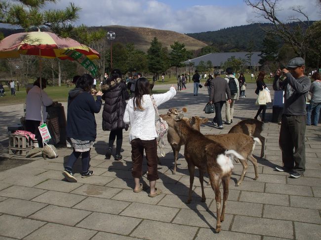 【旅の内容】<br />　妊娠34週目になる妻を引き連れて、奈良の世界遺産を巡る。<br /><br />【行程】<br />　1日目　―　2009/03/20(Fri)<br />　　…東京→奈良(泊)<br />　2日目　―　2009/03/21(Sat)<br />　　…奈良→斑鳩→奈良(泊)<br />　3日目　―　2009/03/22(Sun)<br />　　…奈良→東京