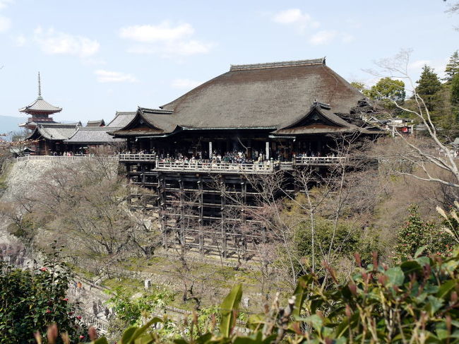 世界遺産が17もある京都ですが、清水寺は中でも最も有名な名刹で、中学校の時に修学旅行出来た記憶も残っています。<br /><br />私も大好きなところですが、しばらくご無沙汰していて2004年の訪問です。<br />