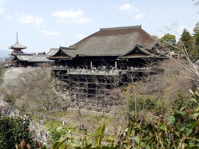 世界遺産が１７もある京都ですが、清水寺は中でも最も有名な名刹で、中学校の時に修学旅行出来た記憶も残っています。<br /><br />私も大好きなところですが、しばらくご無沙汰していて２００４年の訪問です。<br />