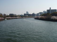 大阪上町台地を自転車で☆桜満開の水の都　その⑤