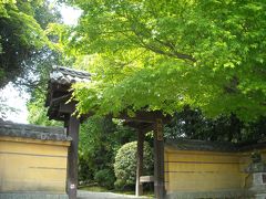 ２０１０GW大人の京都奈良旅（奈良編）～絶品ランチと新緑のお寺巡り～