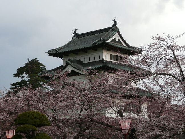 本来なら東北の桜を見ながら北上してくればいいのだろうが予算の都合でいきなり弘前に来てしまった<br /><br />新聞ではまだ咲き始めという情報だが観光協会で聞いてみると両脇の堀の辺りなら３分〜４分咲きだというので　夕方になってしまったがいてみることに<br /><br />う〜ん　ちょっと早かったが見れる状態だ<br />それよりも途中で雨に降られてしまい途中で断念<br /><br />リベンジを誓って後にした<br /><br />５月４日に再訪しました<br />満開でいいかんじでした<br />http://4travel.jp/traveler/tioman/album/10455838/