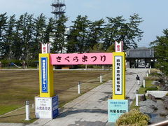 本荘公園でお花見