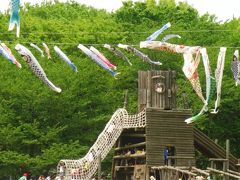 アンデルセン公園-24　鯉のぼり泳ぐみどりの日　☆花の作品も展示