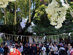 京都を歩く(58) 白峯神宮の蹴鞠奉納