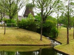 アンデルセン公園-26　新緑に映える花の数々　☆ハンカチノキが開花