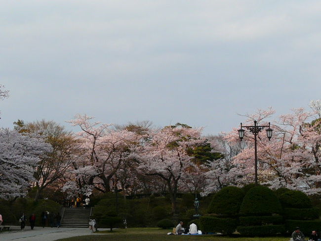 秋田市内にある代表的に公園？？<br /><br />泊まってるホテルから徒歩１０分位でいけるとこなので夕方と朝出かけて見ましたがまあ普通の公園という感じです<br /><br />桜の種類はほとんど染井吉野です<br /><br />