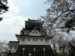 横手公園で花見