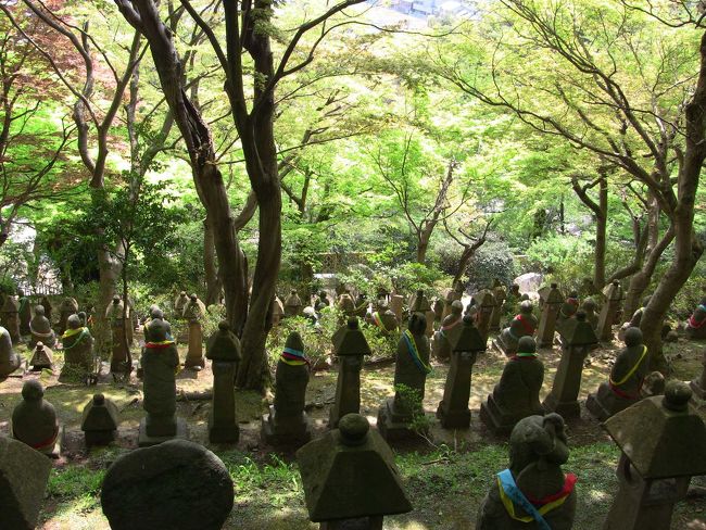 今年のG.W.は、仕事が入るはずだったのですが、急遽5/1〜5まで5連休の予定になってしまいました。<br /><br />「いきなり休みになっても、いまさらどう過ごせっちゅうねん!」<br /><br />という文句の一つも言いたいところですが、<br />とりあえず家に居てブツブツ言っていても仕方が無いので、強引にどこかに行くことに。<br /><br />そこで思いついたのが、<br />「車で寝泊りして自由に行きたい所に行ってみる」<br />という旅。<br /><br />幸い、高速が1000円で激安ですし、夜はSAに車を停めて寝れば、宿代は実質タダ。あとは果たしてちゃんと寝れるか問題ですが、こればっかりはやってみないと分からないのでやってみよう!ということで。<br /><br />行き先は、比較的道路の混雑が少ないであろう、北陸道方面として、あとは行ける所まで行く!という、めっちゃテキトーな旅に出ました。2歳の子供を連れて。。。<br /><br /><br />「その1:富山編」<br /><br />まず最初に富山で高速を降りてみました。前日の夜は、福井県の北鯖江PAにて車中泊です。