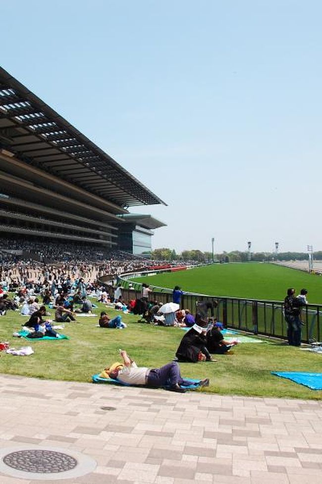 競馬に興味を持ったのは多分他の人より早かったと思う。<br /><br />母が病弱だった事もあって一時期、祖父祖母の家に預けられて<br />典型的なおじいちゃん、おばあちゃんっ子でした。<br /><br />おじいちゃんはギターにハーモニカ、バイオリンが得意で競馬も大好きなため週末になると<br />競馬新聞買ってきて夜遅くまで一緒に予想して遊んでたっけ。<br /><br />それから年月を経ても競馬が好きで府中や中山にはよく行ってました。<br /><br />スピードシンボリ、コンチネンタル、アローエキスプレスなどが好きな馬で野平祐ちゃんが活躍してた時代。<br /><br />しかしある日、仲間とマージャンをしてた時に後ろで見てた友達が<br />「狙いや切り方は間違ってないが引きが弱すぎる！おまえ博才無いよ！」<br /><br />そう言えば競馬、パチンコ、スロットにマージャンetc トータルして勝ったことが無い。<br /><br />そうかぁ〜僕には博才がないのかぁ！　とその日からギャンブル全てやめました。<br /><br /><br />あれから何年経ったか　競馬は見るものと馬券の買い方も忘れ（正月に川崎競馬に行ったけど）<br />足は遠のいていましたが、G.Wに誰も遊んでくれず晴天に恵まれたのに引きこもってるのもいやなので<br />いざ東京競馬場にお馬さんを見に。