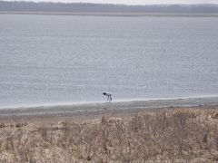 2010年GW　根室ー釧路　３泊４日の旅　４日目