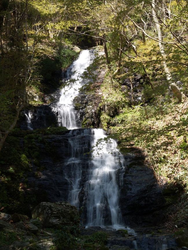 那岐山を午前中に下山したので滝めぐりをすることにしました。しかし予定していなかったので滝の情報を持ち合わせていません。津山周辺の著名な滝はほとんど行きましたが、横野滝だけはまだ行ったことがありませんでした。そこでナビであたりをつけて横野滝を目指すことにしました。<br /><br />横野滝一の滝滝見難易度：０、横野滝二の滝滝見難易度：１、横野滝三の滝滝見難易度：１<br />参考　滝見難易度０：道路から見える、１：片道徒歩５分以内、２：片道徒歩１５分以内、３：片道徒歩３０分以内、４：片道徒歩１時間以内、５：片道徒歩２時間以内、６：片道徒歩２時間以上もしくは２時間以内でも特別な装備が必要な場合など。私の旅行記ではほとんど出現することはないと思われる。<br />注意　滝見難易度はあくまで私の主観によるものであり、また季節や天候により難易度が上がる場合もあります。私の旅行記を参考にされて、「違うかったやんけ」とおっしゃられても責任は負えませんのでご了承ください。また、難易度が高い場合はできる限り単独行は避けるようお願いします。