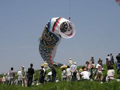 ＧＷ小さな旅を楽しむ・・・⑦加須市のジャンボ鯉のぼり