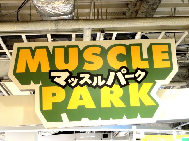 　最近子供がSASUKEという番組にはまっていて、その競技のミニチュア版が東京にあると噂を聞いて、早速訪問してきました。<br />(参考）http://www.musclepark.jp/