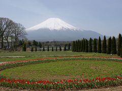 富士山と高原のお花畑