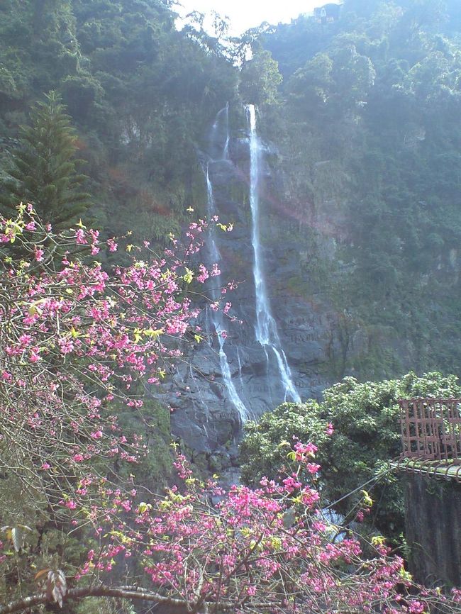 1月27日から2月6日で春節間際の台湾をゆっくり周遊してまいりました。<br />　旅の目的は温泉。台湾にはあの狭い国土にたくさんの温泉があります。それのどれもとても個性的な泉質なので、それを巡ってみる事にしました。<br />　だけど、温泉意外にも楽しいことがたくさんあって結局何でもの旅になっちゃいました。<br />１月２７日　台北<br />１月２８日　台北→礁渓温泉→瑞穂温泉<br />１月２９日　瑞穂温泉→台東→知本温泉<br />１月３０日　知本温泉→高雄→台南<br />１月３１日　台南<br />２月１日　　台南→台北（陽明山温泉・北投温泉）<br />２月２日　　台北→金山温泉・基隆<br />２月３日　　台北<br />２月４日　　台北→烏来温泉<br />２月５日　　台北<br />２月６日　　北投温泉→帰国<br /><br />烏来温泉は個人風呂で源泉に入ろう。