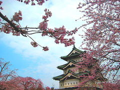 １泊２日往復1,500Km!! ＧＷのバスツアー，花だ！桜だ！弘前公園・角館 東北二大桜紀行