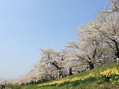 東北の桜と温泉の旅１日目 2010.5.5-5.7　