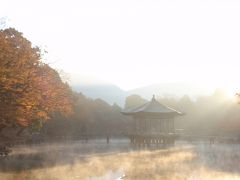 早朝の奈良公園・浮見堂（奈良紅葉めぐり６・一人旅）