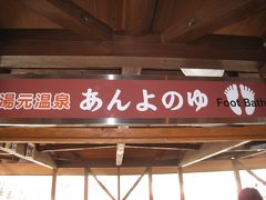 花より団子の母の日に足湯　竜頭の滝と湯元温泉