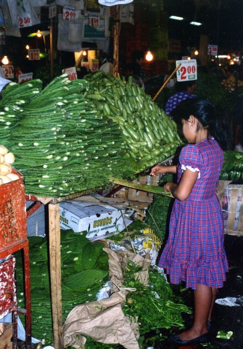 メキシコ市場で食材観光<サボテンを味見した日>』メキシコ メキシコ市場で食材観光<サボテンを味見した日>』メキシコ