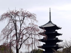 ２５．春休みの京都の世界遺産を巡る旅　１０／１７ 世界遺産 東寺