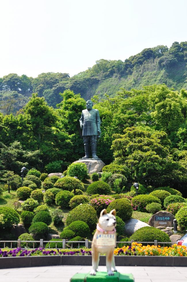 今回の旅は鹿児島！目的はもちろんJR九州新幹線の新800系に乗車する事が目的で、その為にわざわざ1便のJALの飛行機で鹿児島空港まで行きましたが、ゴールデンウイーク5/1、羽田空港の大混雑の為に、鹿児島空港着が40分以上遅れてしまいました。<br /><br />鹿児島中央駅に着いたのが12：00過ぎ、800系、新800系　”つばめ14号,52号,16号”を見るためには最大で2時間半しかありませんでした。私が乗車する新800系の”つばめ16号”乗車時間は15：48発なので約3時間半の時間はありますが、800系と新800系の写真を撮る為には、観光を犠牲にしても致し方ないと覚悟を決めておりました。<br /><br />鹿児島中央駅、当初の予定ではシティビュー（市内観光バス）を利用する予定でしたが時間がない為に、苦肉の策でタクシーを2時間半チャーターして、鹿児島市内観光をする事にしました。<br /><br />私が2時間半で市内観光した場所は<br /><br />大久保利通像-城山公園の展望台見学-西郷隆盛の洞窟-石橋公園<br />鹿児島水族館-灯台付近から桜島の噴火を撮影-西郷隆盛のお墓がある南州公園-西郷隆盛の像-フランシスコザビエル記念碑-鹿児島中央駅下車<br /><br />シティビューバスの観光名所はほとんど行きました。<br />気になる料金はメーター6200円+チップ込みで7000円払いました。<br />初め交渉の時4000〜5000円と言われましたが、タクシーの運ちゃんの色々なアドバイスと観光案内もして貰えたので、お勧めの場所をプラスして、この料金を支払いました。<br /><br />このお値段が高いか安いかは個別の判断によりますが、2時間半以内の時間の制約の中の観光なので、私は7000円は安いと思いました。<br /><br />JR九州新幹線、新800系（U007,U008),800系（U003)は別の旅行記に掲載いたします。<br />ちなみに4/25から運行開始された新車のU008も写真に収める事ができました。<br />