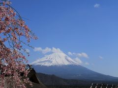 2010・春　富士五湖の旅 ◆ 3日目　西湖と身延山