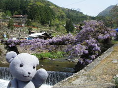 徳地三谷地区の愛のふじ橋