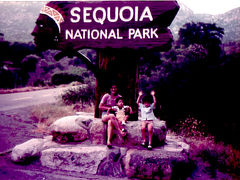 　超巨木　セコイア国立公園（USA）を訪ねて。　　６月　　２０１０年作成