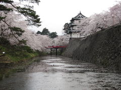 東北の桜を訪ねてドライブ旅　４　弘前城址　満開の桜