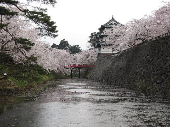 今年は寒気のお陰で桜の開花が遅れ、ちょうど満開の桜を観る事が出来ました。<br />４ｔｒａｖｅｌで弘前の見所を教わり事前チェックしておいたのですが、桜を目一杯堪能しあちこちと撮影している内に一日が暮れてしまいました。歴史的建造物など見所を回るには２日間の日程が有ればと思います。<br />帰路は弘前ＩＣを目指しましたが途中で渋滞の波にのまれましたので、往路同様黒石ＩＣに迂回しました。<br />東北自動車道を使われる場合は黒石ＩＣで乗り降りされることをお勧めします。<br />今宵の宿は雫石プリンスホテルです。<br />朝食はバイキングでしたが、残念ながらお粗末でした。部屋は角部屋で展望も良く広々として良かったです。<br />翌日予定していた北上展勝地は高速道の渋滞を考えパスしました。弘前城址の満開の桜が楽しめ大満足の一日でした。<br />今回の旅行の最高の締めくくりとなりました。