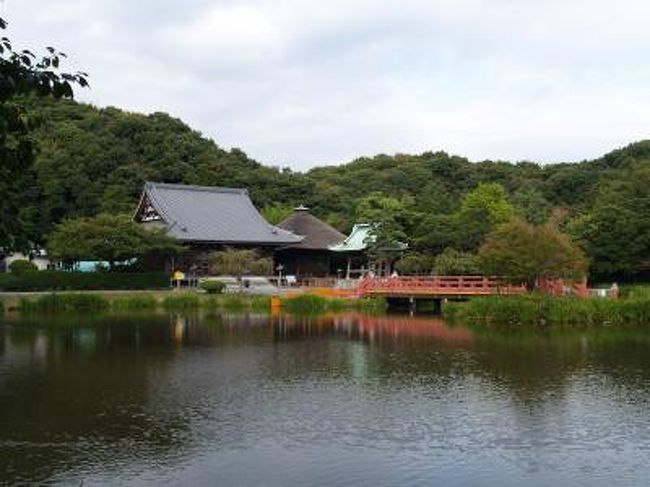 　横浜市金沢区にある称名寺は、浄土式庭園が綺麗である。元応2年（1320年）に金沢氏3代貞顕の頃に整備されたもので、昭和62年（1987年）に復元された。このときに、苑池に架かる赤橋を輸入松でこしらえたために20年しか持たなかった。そのために、反橋の架け替え工事中であった。文化財の復元が20年しか持たないというのは聞いたこともなく、前代未聞のことだろう。いつの時代でも安普請では持たないということだろう。<br />　これまでに称名寺には何度か来ている。最初は京浜急行金沢文庫駅からバスに乗ったが、以降は徒歩で向かうことにしている。今回は門前の薬王寺から参拝した。<br />　称名寺の浄土式庭園は鎌倉永福寺（ようふくじ）がモデルだったのかも知れない。宇治平等院の苑池の何倍もある。平泉毛越寺の苑池のような広さがあろうか。頼朝の義経討伐・東北（平泉）遠征から100数10年経た金沢貞顕の頃に毛越寺を見てきたこともあるまいが、毛越寺の苑池を意識しているようにも感じられる。あるいは、いわきの白水阿弥陀堂苑池でも見たのであろうか。反橋のない称名寺は少し寂しかったが、彼岸花の群生地があり、咲き誇る赤の花がそれを補ってくれた。<br />（表紙写真は称名寺浄土式庭園）
