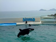 鴨川シーワールド・白浜温泉