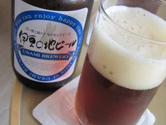 飲みに行ってきたよ！伊豆の地ビール