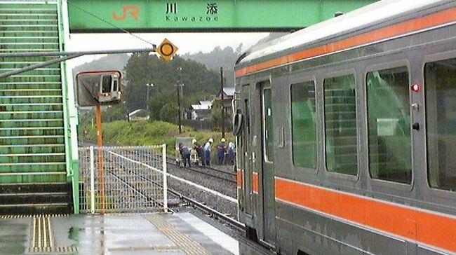 大まかな主要路線はだいたい鉄道で旅行してきた俺。<br /><br /><br />北海道から九州まで。だいたいの主要路線は乗りつぶしてきたもんだ。<br /><br /><br />しかし唯一乗ったことのない路線がひとつあった。それが紀勢本線(三重〜和歌山)だ。<br /><br /><br />せっかく１８きっぷで回れるシーズン。しかも愛知在住の友人宅から出発すれば一日で名古屋→大阪にたどり着くことができる。<br /><br /><br />ちょっと遠くて長い紀勢本線…。正直かなりダルイかもしれないけど、初めての路線だから楽しみのほうが多い！<br /><br /><br />さぁいよいよ紀伊半島をぐるっと一回り！紀勢本線の一人旅に出発！！<br /><br /><br /><br /><br /><br /><br />まず新快速で岡崎から名古屋へ。ここから本来なら各駅停車で行くつもりが、俺が寝坊しちゃったために途中の多気までは特急・南紀でワープ（笑）<br /><br /><br />まぁ特急券が痛いですが、こればかりは仕方ない！しばらくの間はディーゼル特急のパワフルな走りに身を委ねよう！<br /><br /><br />多気に到着。昨年、伊勢神宮を参拝したとき以来だけど駅前になんもねぇ。。。<br /><br /><br />しばらくしてやってきた新宮ゆきワンマンカーに乗り込めばいよいよ出発！ここからまずは新宮まで約４時間…。長い旅です。<br /><br /><br />しかしこれはまだ一本目の列車！大阪にたどり着くまでは、まだ１２時間かかるのだから…。<br /><br /><br /><br /><br /><br /><br />多気を出てしばらくして、急に雲行きが怪しくなる。外は次第に激しい雨…。まさか？？<br /><br /><br />『大雨による規制がかかりましたので、この列車は当駅で運転見合わせまーす』<br /><br /><br />はぁ…マジかよ。。。紀勢本線だけに“雨規制”ですか…。<br /><br /><br />まぁ急ぐ旅ではない！のんびり待とうか…。今日中に大阪、または最悪和歌山あたりまでたどり着ければいいんだし。<br /><br /><br />さすがローカル線＆天災。車内の乗客は誰一人も文句を言わず、ひたすら待つのみ。<br /><br /><br />ロングシートに寝る人やら本を読む人やら…。まさにこれこそ“スローな旅”なのかも？<br /><br /><br />山あいにある川添駅という小さな駅で抑止になること３０分、１時間、１時間半…。ようやく２時間後に『まもなく運転再開』との放送が！<br /><br /><br />意外と２時間なんてあっという間でした。タバコ吸ったり携帯いじってれば、案外時間経つのは早いもの。<br /><br /><br />雨もようやく小康状態になり、２時間ずぶ濡れだったディーゼルカーは再び新宮に向けて運転再開となりました。やれやれ…。<br /><br /><br /><br /><br /><br /><br />世界遺産・熊野古道だけに、あたり一面深い杉林が広がる中を、ディーゼルカーは右へ左へくねくね走る。<br /><br /><br />紀伊半島に高い山はないが、山深さはかなりのものだろう。さすが世界遺産になるだけあるわな。。。<br /><br /><br />紀伊長島あたりからは、ところどころに海が見えてきた。深い杉林と広大な海は、自然の雄大さを大いに感じさせてくれる車窓だ。<br /><br /><br />台風のときに名前をよく聞く尾鷲、熊野古道の玄関口である熊野市…と、ひたすら列車は進む。<br /><br /><br />遅れのせいで、すでに多気を出てから５時間（笑）まだ新宮に着かない…。単線だから交換待ちも頻繁だしさ。。。<br /><br /><br />しかしなかなか飽きさせない車窓＆初めて乗るワクワク感で、時間はあまり気にならなかったなぁ。<br /><br /><br />こうしてようやく新宮に着いたのは１６時前。多気から実に６時間の長旅だ。マジでケツが痛い…。しかしいろんな意味で楽しいわ、紀勢本線！<br /><br /><br />しかしまだまだ終りではない！ここからいよいよ和歌山県に入り、紀勢本線・後半戦が待っているのだから…。<br /><br /><br /><br /><br /><br /><br />遅れのせいで予定していた普通列車に乗り継げず、やむなく再び特急くろしおで串本まで。<br /><br /><br />本来なら途中下車をして、海を眺めたり写真撮ったりしたかったけど、これも電車の遅れで不可能に…。非常に残念っすわー。。。<br /><br /><br />おまけに朝から何も食ってないし、新宮で乗り換えがわずかだったために名物駅弁『めはり寿司』を買えず…。<br /><br /><br />しかし特急くろしおの車内販売で、新宮のめはり寿司があったのでビールとともに購入！実に８時間ぶりのメシ＆ビール…。いやぁ体に染みました！<br /><br /><br />めはり寿司、高菜の葉とご飯の相性が抜群でなかなか素朴な旨さでしたよ。お腹にも溜まったし、買って正解でした！<br /><br /><br />窓の外、荒々しい波が立つ太平洋を見ながらの紀勢本線の旅もようやく折り返し地点です…。<br /><br /><br /><br /><br /><br /><br />串本からは再び普通列車に乗り換え、のんびり大阪を目指す。<br /><br /><br />先程の新宮までと同じように、海を眺めたり山あいに入ったりトンネルを抜けたり…と、なかなか飽きない車窓。<br /><br /><br />まだ単線だから、ところどころでの交換待ちものどかなもんですわ。未だワンマンだし…。<br /><br /><br />新宮から１時間半、紀伊田辺からようやく複線になり、列車もそれなりの速度を出すようになりました。<br /><br /><br />それにしても大阪はまだまだ遠い…。新宮→紀伊田辺→御坊と普通列車を乗り継いで、車窓に見えていた海も次第に暗闇に消えてゆきました…。<br /><br /><br />ようやく和歌山駅に着けば２０時過ぎ。紀勢本線の長い長い長い旅はようやく終了！約１２時間…果てしないロングラインでしたわ（笑）<br /><br /><br /><br /><br /><br /><br />和歌山駅からは阪和線で一杯やりながら大阪へ。ここまでくれば、ようやく関西に来たな…という気持ちになるもんですよ。<br /><br /><br />時間もすでに遅いし、とにかく疲れたので真っすぐホテルに向かおうか…。夕飯＆晩酌はホテルの部屋で間に合わせよう。。。<br /><br /><br />予約した、天満橋のビジネスホテルに着いたのは夜２２時半。朝６時半に起き、今日は一日電車乗りっぱなし…となりました。<br /><br /><br />はぁ、、、疲れた。。。<br /><br /><br /><br /><br /><br /><br />初めての紀勢本線、そして雨規制にやられた紀勢本線（笑）だけど楽しかった！<br /><br /><br />海あり山あり！独特のグルメあり！<br /><br /><br />初めて訪れた紀伊半島。次に来るときは紀伊勝浦や白浜のビーチで遊んだり、熊野古道を巡ったりしてみたいね！