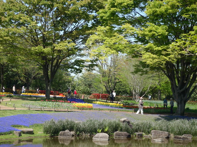 チューリップが枯れる前に、と思って行った昭和記念公園。<br />予想外に花の種類が多く、またものすごい量の写真を撮ってしまいました。