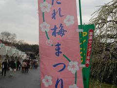 名古屋市農業センターにしだれ梅を見に行きました。