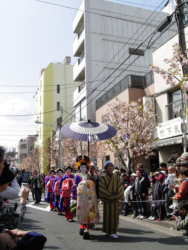 ４月に第一陣の行列をご紹介しましたが、<br />５月に第二陣の行列をご紹介します。<br />外八文字もしっかり撮れております。<br />ご堪能くださいまし。<br /><br />江戸吉原おいらん道中<br />台東区浅草４丁目交差点〜周辺 <br />03-3871-3591 （一葉小松橋通り実行委員会）<br />都バス下車停留所（浅草4丁目、浅草警察署前、千束）<br />http://asakusa-kannonura.jimdo.com/江戸吉原花魁道中-edo-yoshiwara-oiran-docyu/<br />