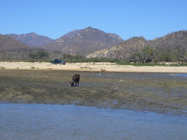 憧れのバハカリフォルニアと西海岸（その４）～ロスカボス：サンホセでATV体験と灯台～