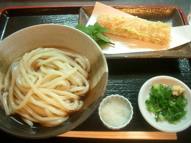 Shirakawa で最高の讃岐うどんをいただきました