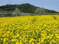 北 信 州 「 な の 花 & も み じ 荘 」 の小さな旅 ＜ 長野県中野市・飯山市 ＞