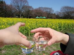 MILFLORESの花いっぱい里帰り　お花見は昭和記念公園へ