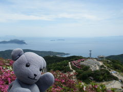 大平山ロープウェイとツツジ