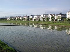 水田に逆さ風景