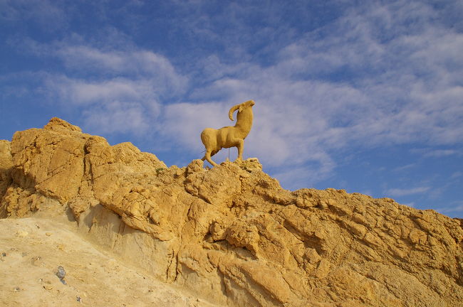 《４日目》<br />トズール観光→ドゥーズ（泊）<br /><br />今日は４ＷＤに乗って砂漠を走ります。<br />山岳オアシスをめぐり、最後はラクダに乗って<br />砂漠に沈む夕日を鑑賞。